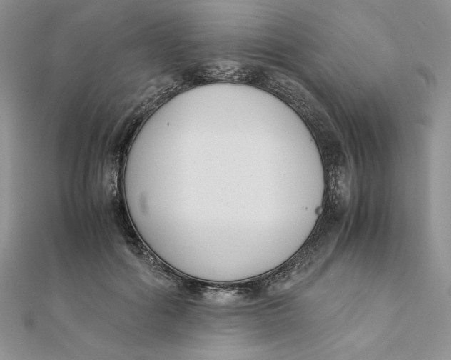 X0000111430602200908031333