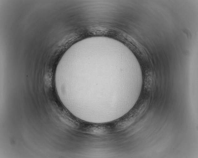 X0000111430604200908031333