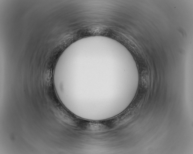 X0000111430605200908031333