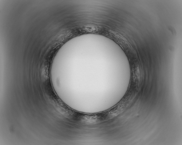 X0000111430606200908031333