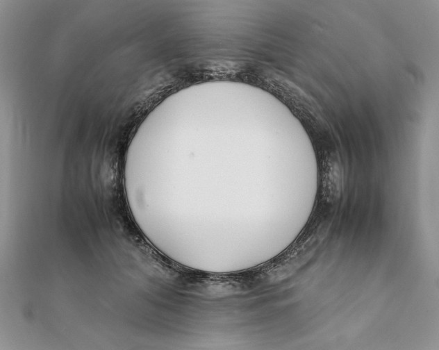 X0000111430608200908031333