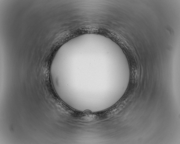 X0000111430609200908031333