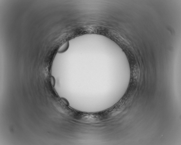 X0000111430611200908031333