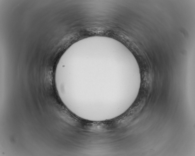 X0000111430612200908031333