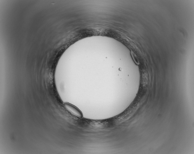 X0000111430613200908031333