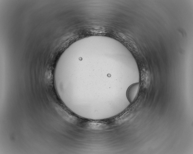 X0000111430614200908031333