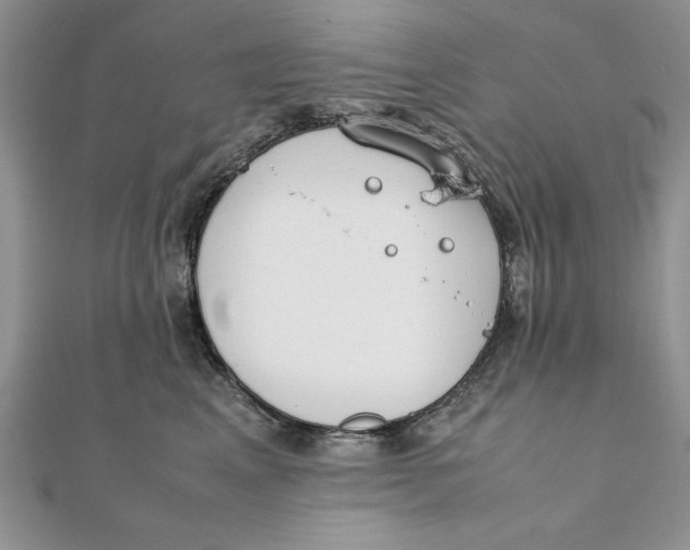 X0000111430617200908031333