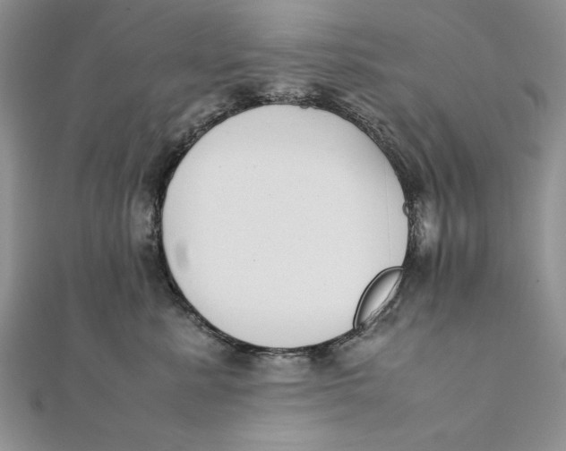 X0000111430619200908031333