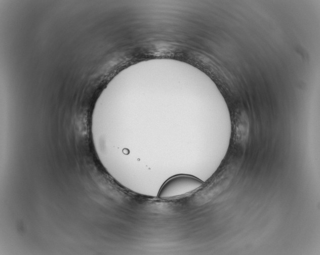 X0000111430620200908031333