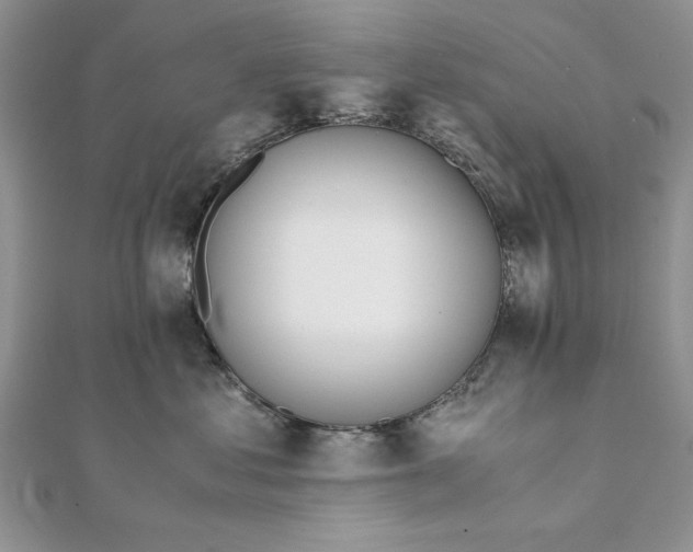 X0000111430621200908031333