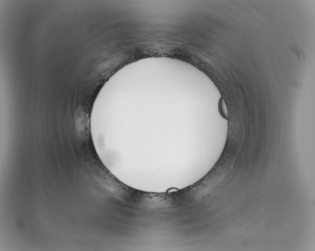 X0000111430624200908031333