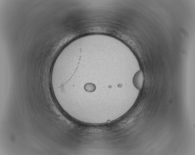 X0000111430625200908031332