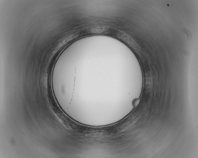 X0000111430626200908031332