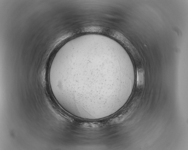 X0000111430627200908031332