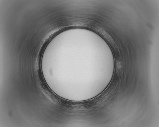 X0000111430628200908031332