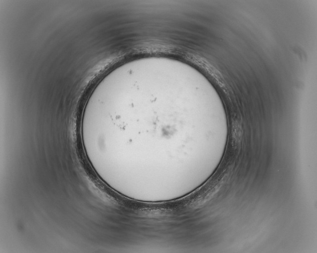 X0000111430629200908031332