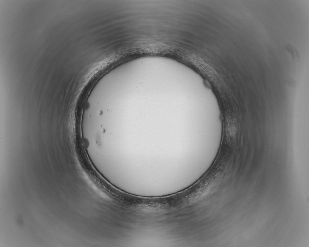 X0000111430630200908031332