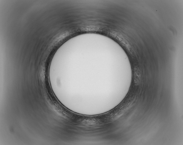 X0000111430631200908031332