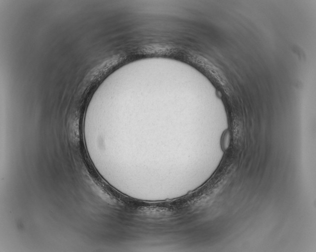 X0000111430633200908031332