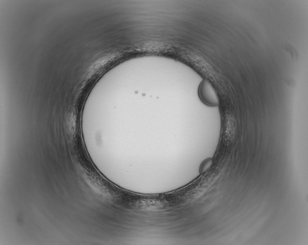 X0000111430636200908031332