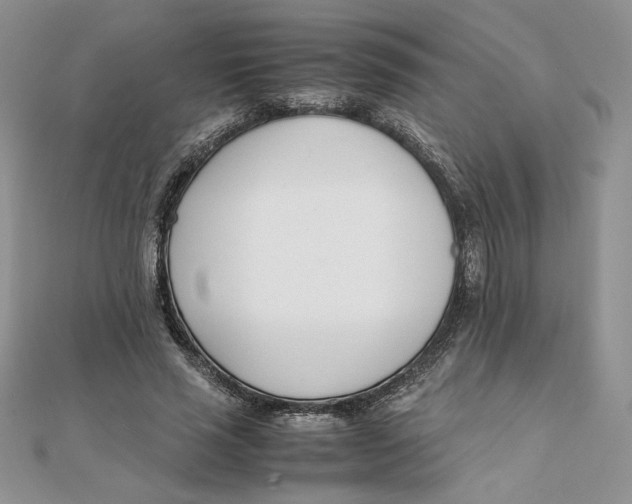 X0000111430637200908031332