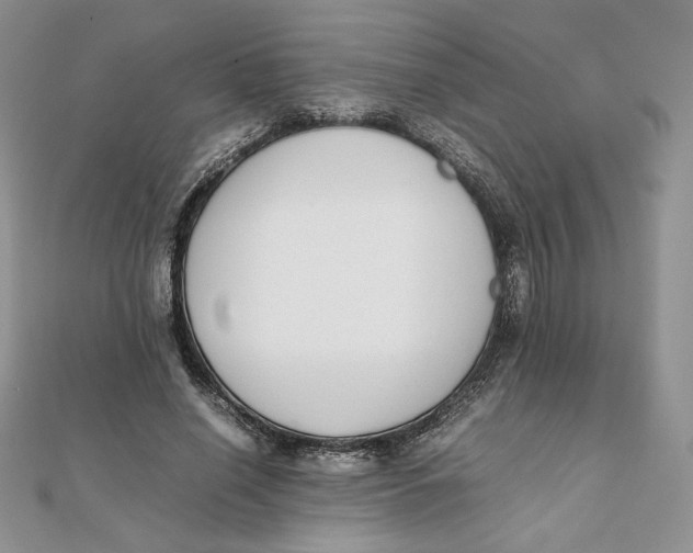 X0000111430638200908031332