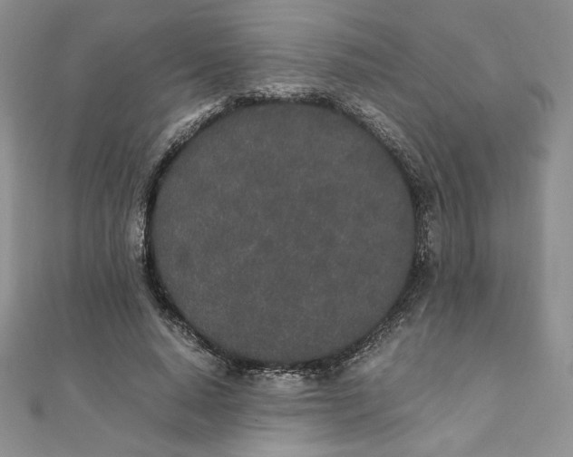 X0000111430640200908031332