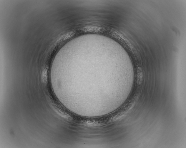 X0000111430641200908031332