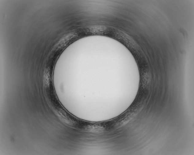 X0000111430644200908031332