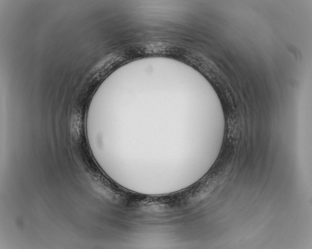 X0000111430648200908031332