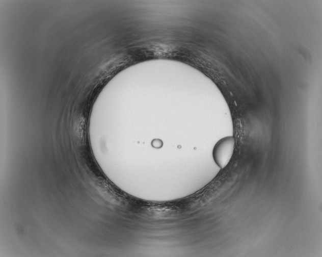 X0000111430650200908031332