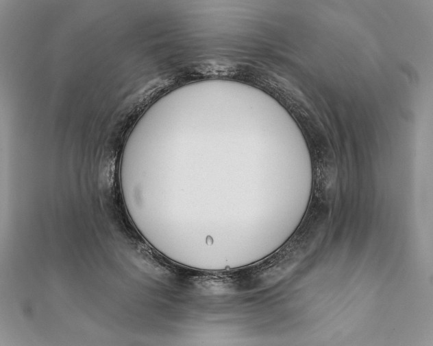 X0000111430652200908031332