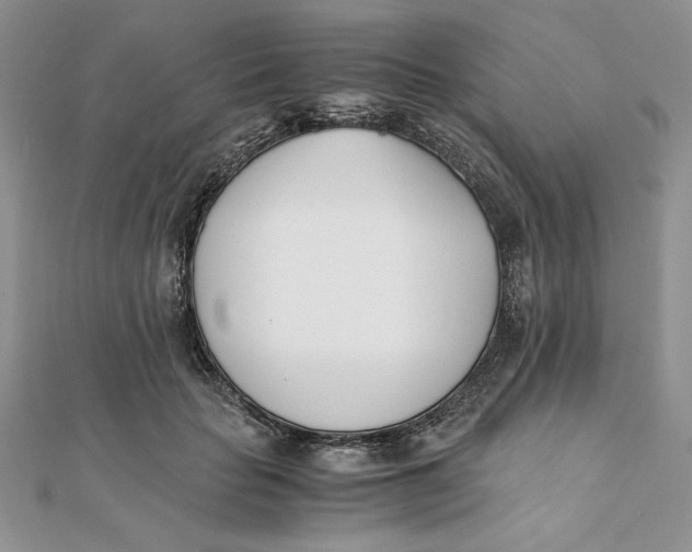 X0000111430653200908031332