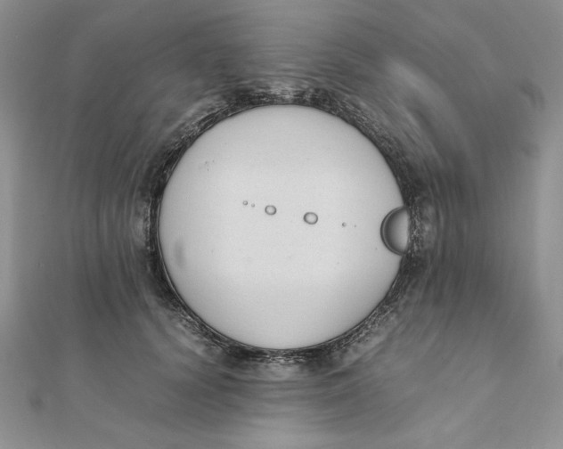 X0000111430656200908031333