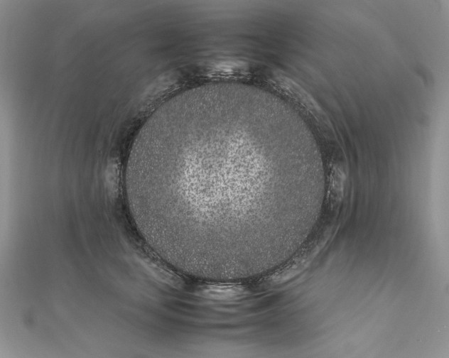 X0000111430659200908031333