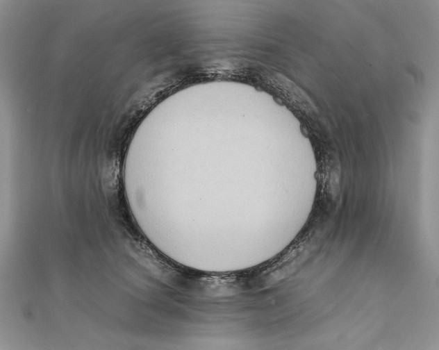 X0000111430660200908031333