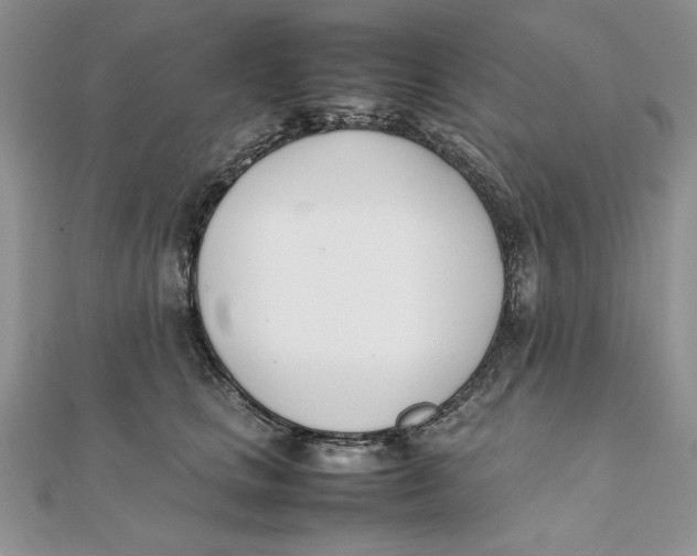 X0000111430661200908031333