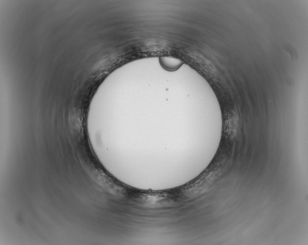 X0000111430662200908031333