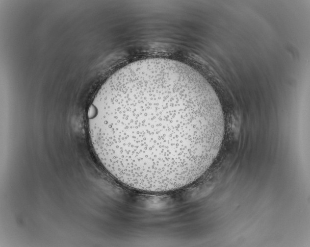 X0000111430663200908031333