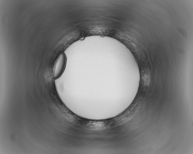 X0000111430665200908031333