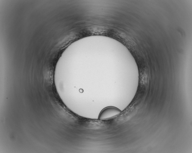 X0000111430666200908031333