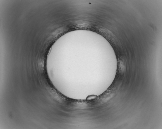 X0000111430668200908031333