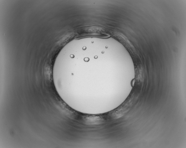 X0000111430669200908031333