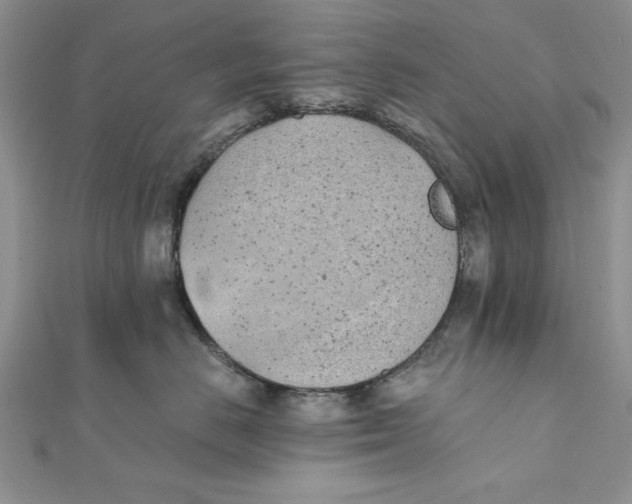 X0000111430670200908031333