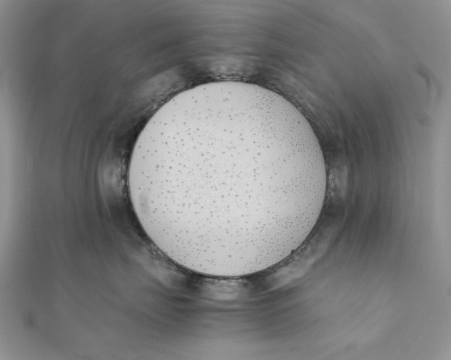 X0000111430671200908031333