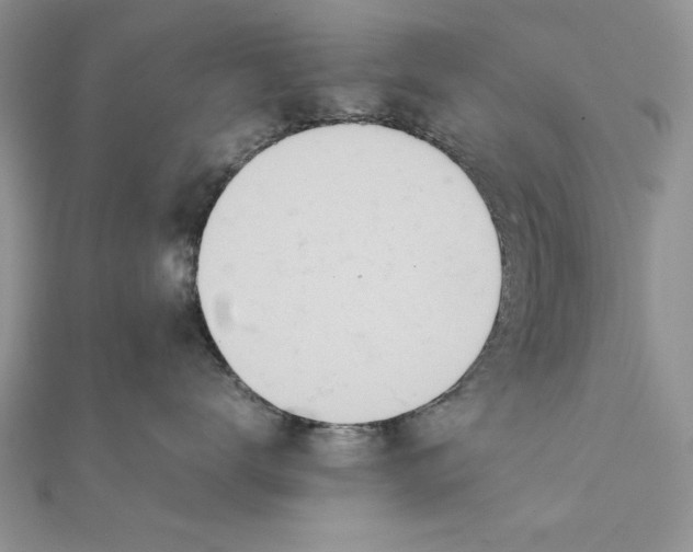 X0000111430672200908031333