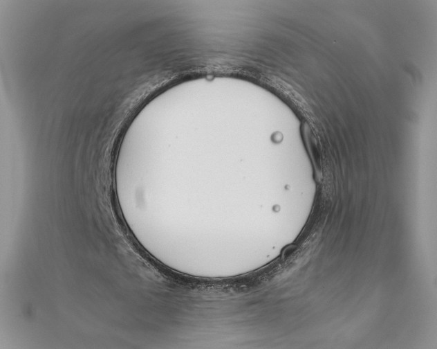 X0000111430673200908031332