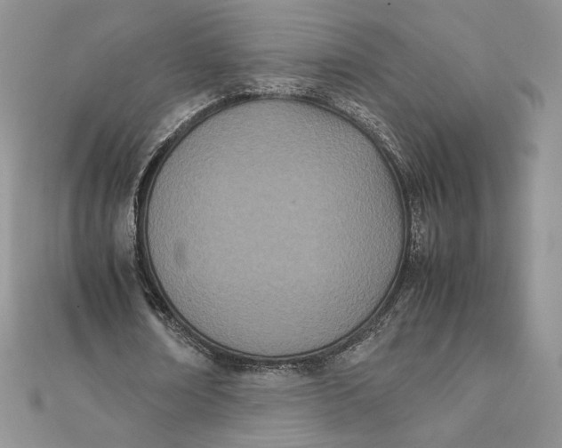 X0000111430674200908031332