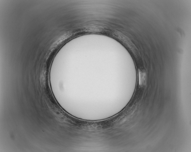 X0000111430675200908031332