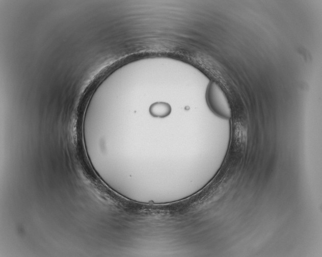 X0000111430676200908031332